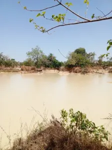 Byggeland Til salgs 0000 Brikama Gambia  DE
