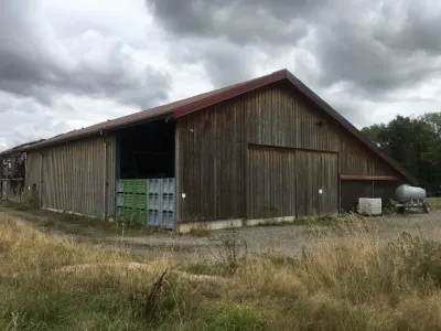 Jordbruksland Til salgs 68780 DIEFMATTEN FR