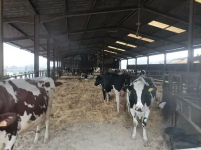 Farm Til salgs 54000 GRAFIGNY FR